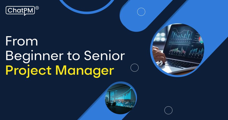 Project manager career path